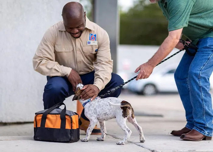 Motel 6 Mcdonough, Ga